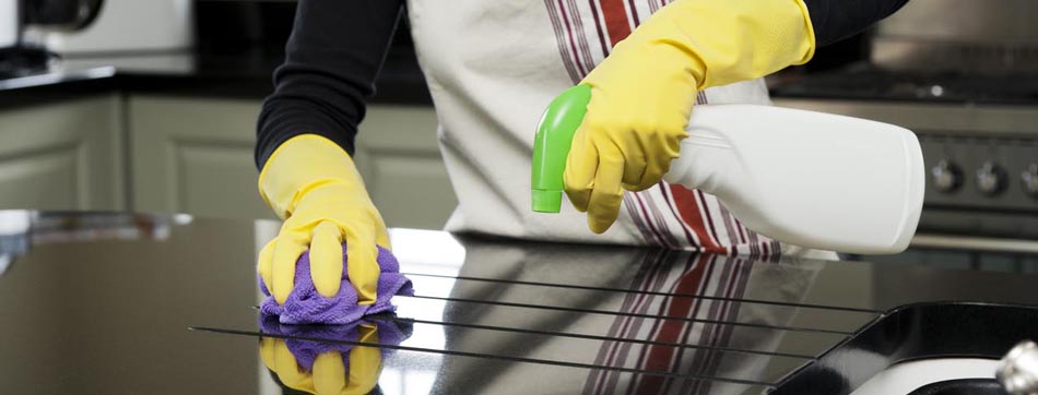 House Cleaning Services