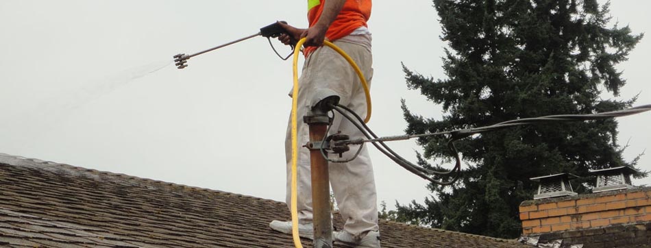 Roof Cleaning